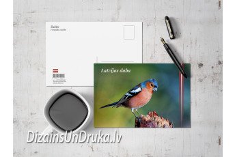 изготовление и печать поздравительных открыток и конвертов_4