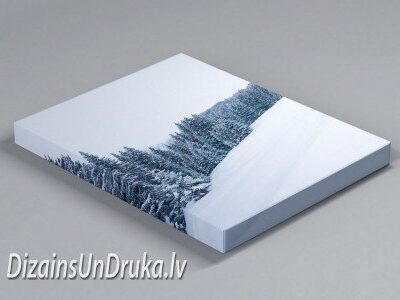 Kanvas apdruka ar ziemas meža ainavu un apsnigušiem kokiem