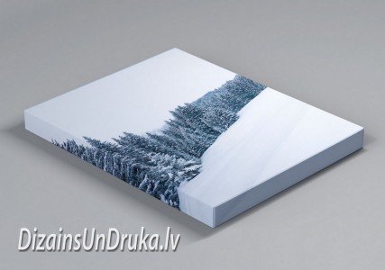 Kanvas apdruka ar ziemas meža ainavu un apsnigušiem kokiem