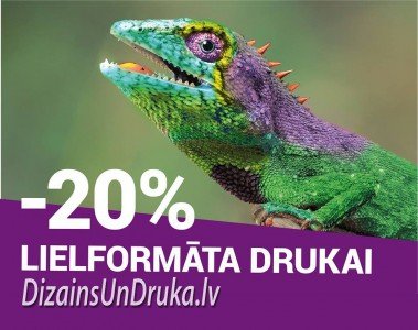 Разноцветная ящерица и текст о скидке 20% на широкоформатную печать